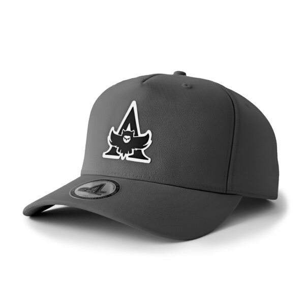 AW OWL SNAPBACK Anthra 3D (NEU)